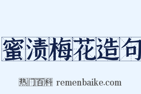 蜜渍梅花造句是什么意思的图片